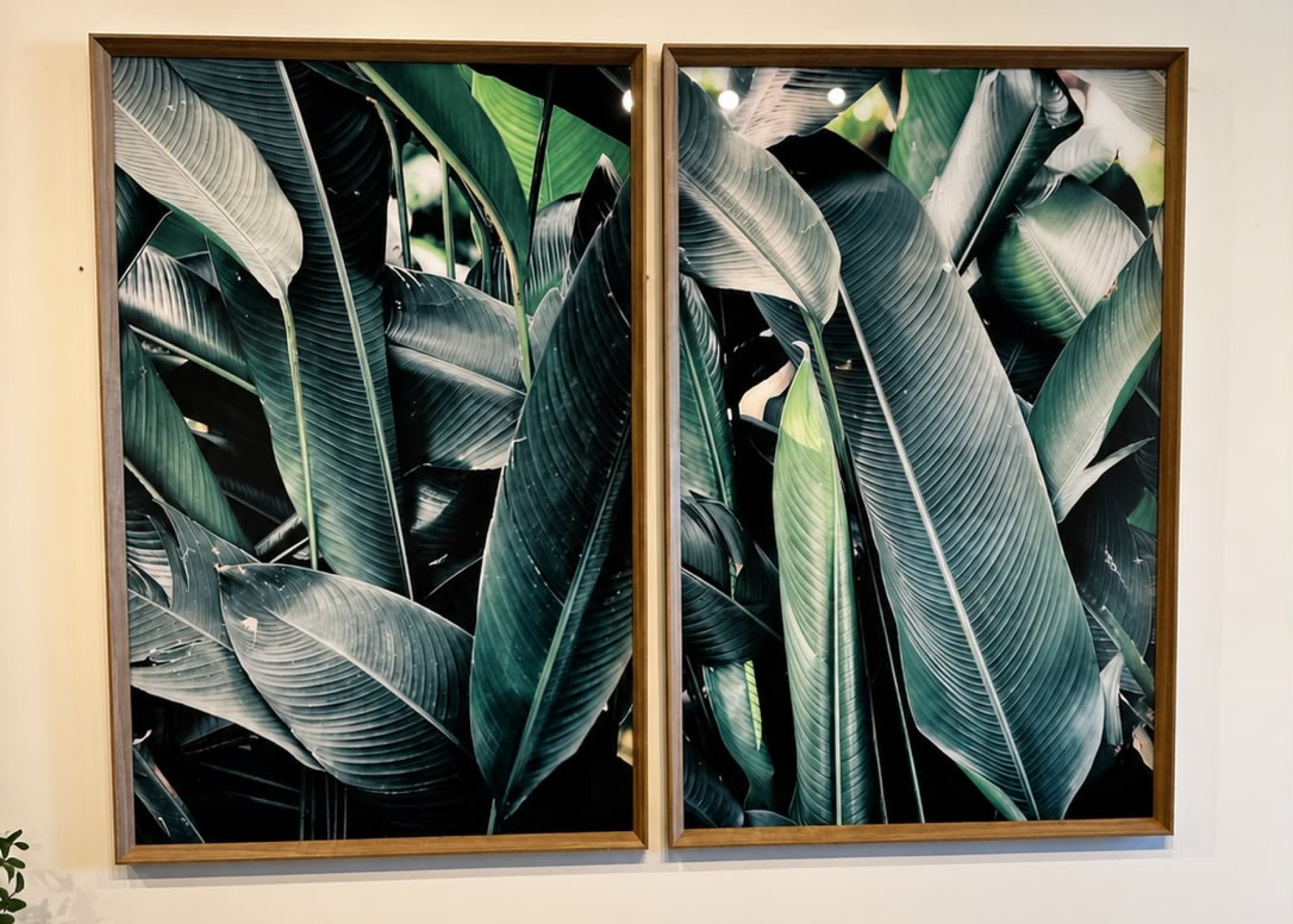 CUADRO CON IMAGEN IMPRESA EN VIDRIO PLANTAS