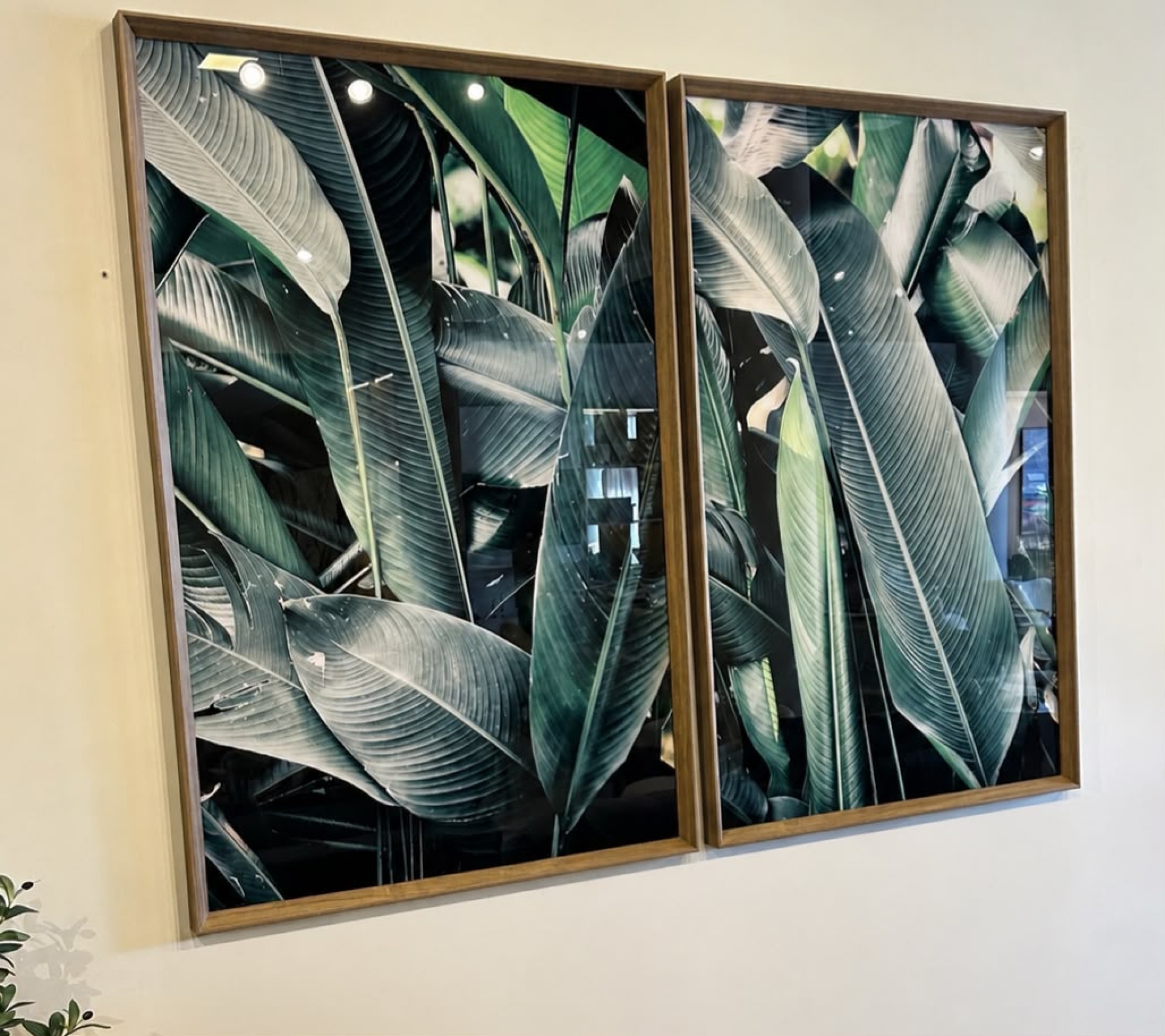 CUADRO CON IMAGEN IMPRESA EN VIDRIO PLANTAS - Vista 2