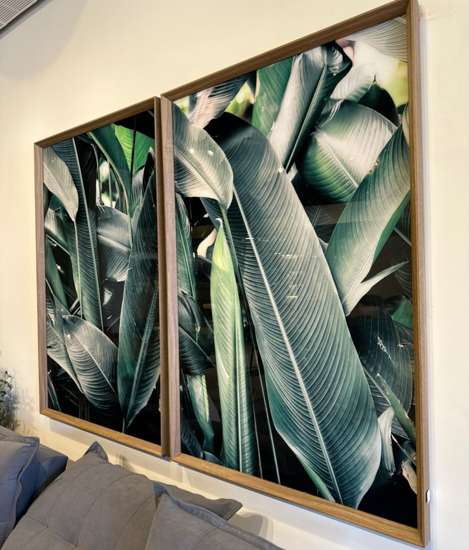 CUADRO CON IMAGEN IMPRESA EN VIDRIO PLANTAS - Vista 3